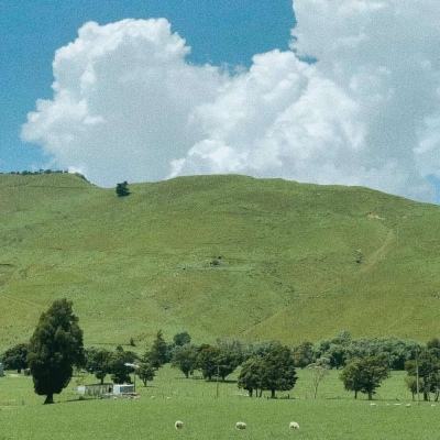 宝威体育官网入口截图