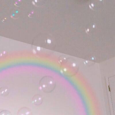 半岛综合APP下载截图